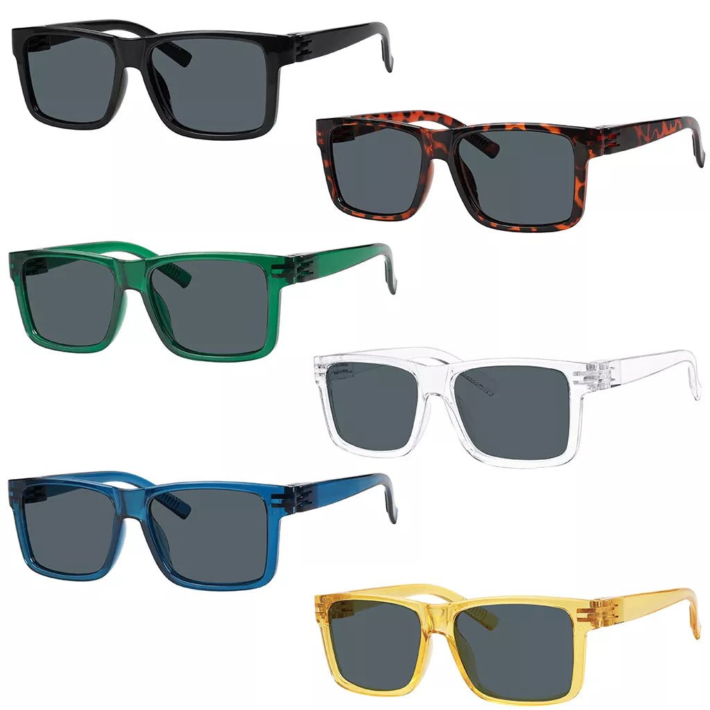 6 Pack Polarized Sunglasses Metalless Screwless Spring Hinge NR2142PLeyekeeper.com